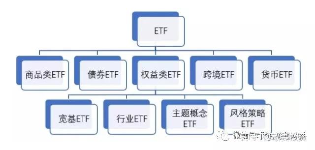 中国田径队世锦赛名单公布，巩立姣杨家玉冯彬等参赛
